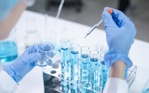 Biologie fondamentale : notions clés pour étudiants