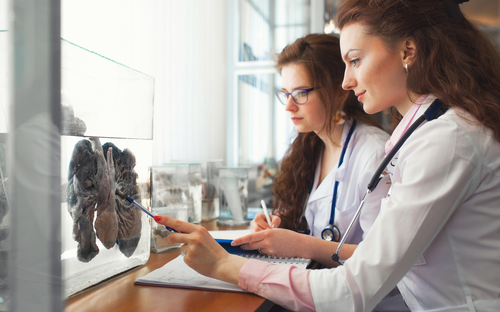 Fonctions respiratoires : bases essentielles pour étudiants en santé