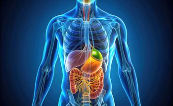 Anatomie-Physiologie